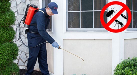 Sarıyer Fare İlaçlama böcek ilaçlama ve haşere kontrolü — ilaclama-tr.com